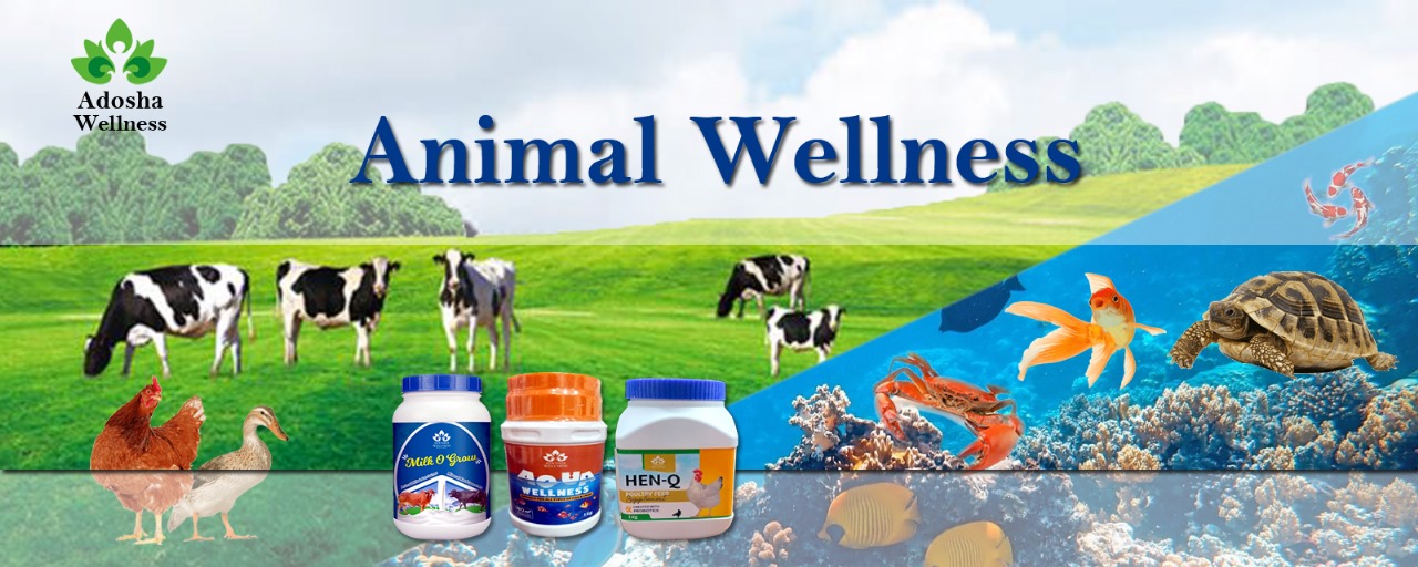 Adosha Wellness Banner